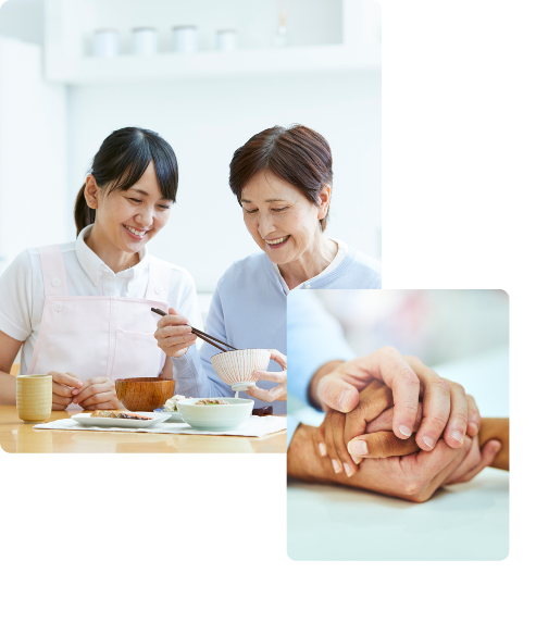 What is Meal Support Therapy