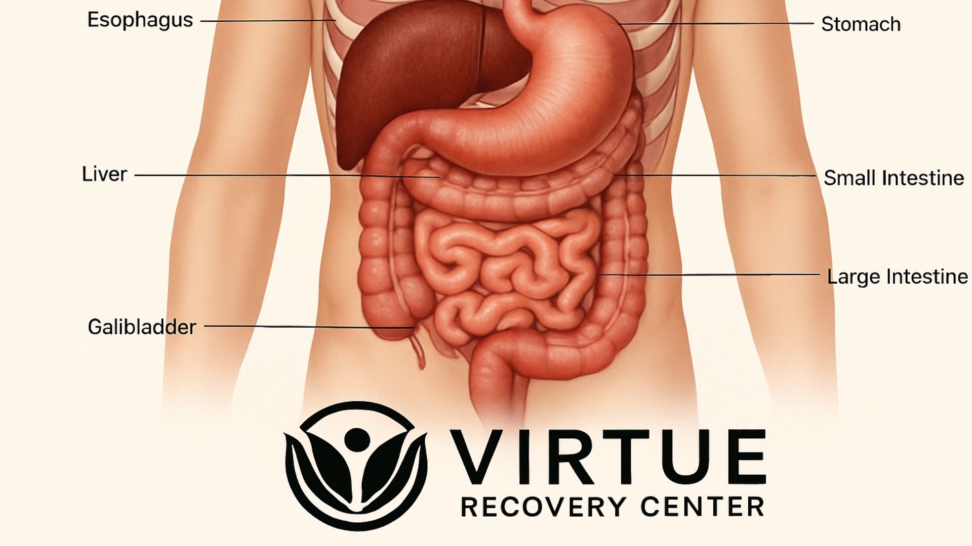 when-stomach-problems-hide-eating-disorder-what-to-watch-for-virtue-eating-disorders when stomach problems hide eating disorder what to watch for - virtue eating disorders